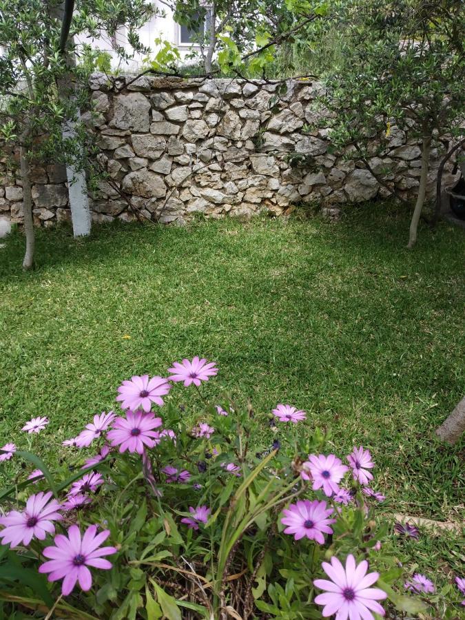 Altin Skrapari Guesthouse Ksamil Bagian luar foto