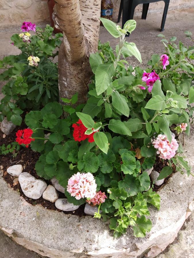 Altin Skrapari Guesthouse Ksamil Bagian luar foto