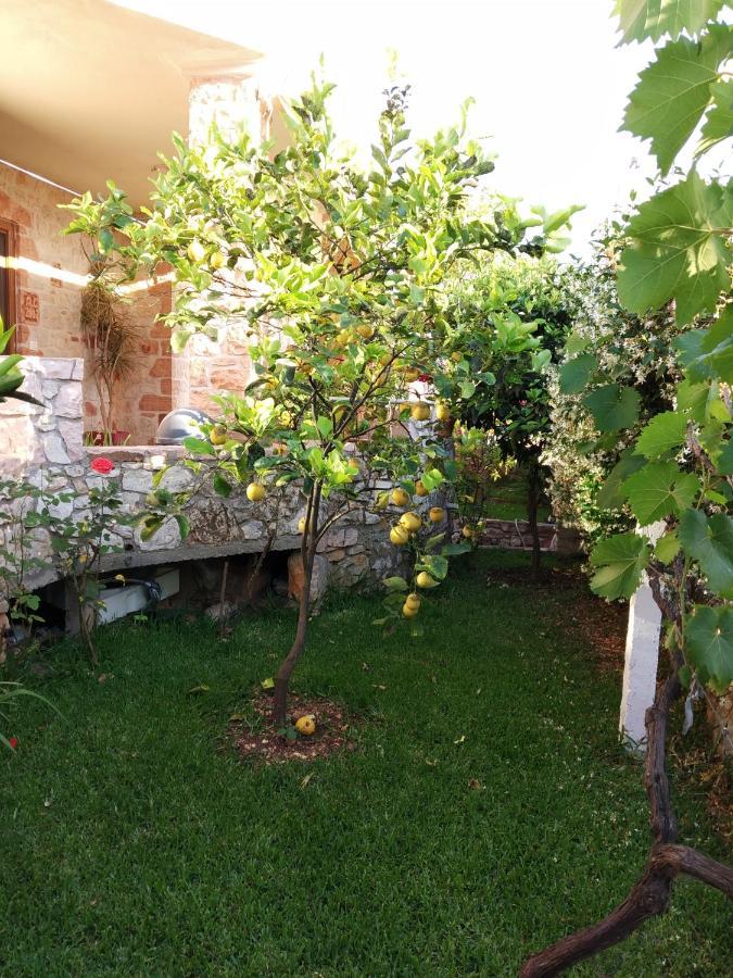 Altin Skrapari Guesthouse Ksamil Bagian luar foto