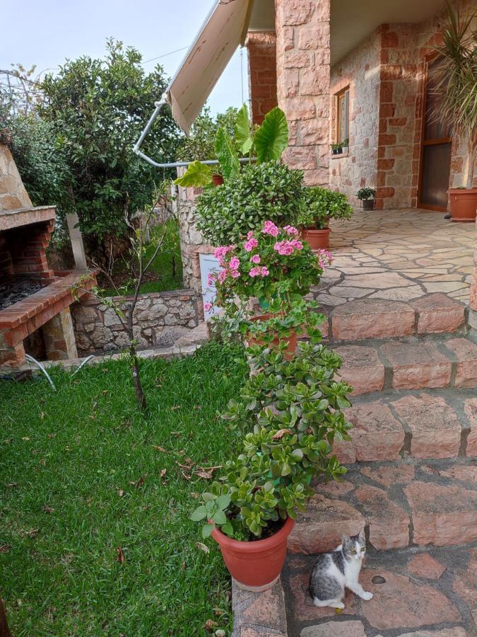 Altin Skrapari Guesthouse Ksamil Bagian luar foto